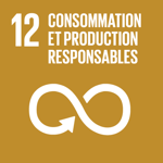 Consommation et production responsable